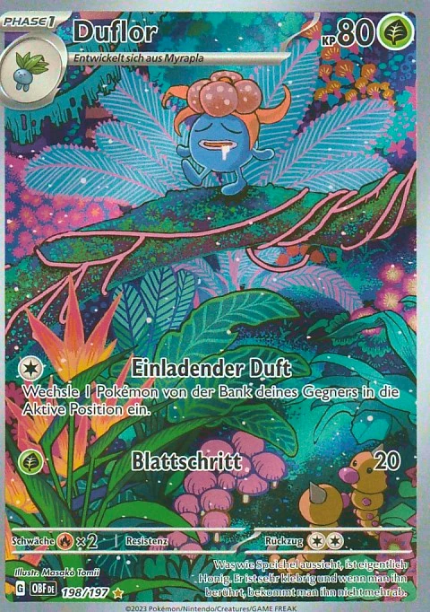 pokemon illustration karte duflor