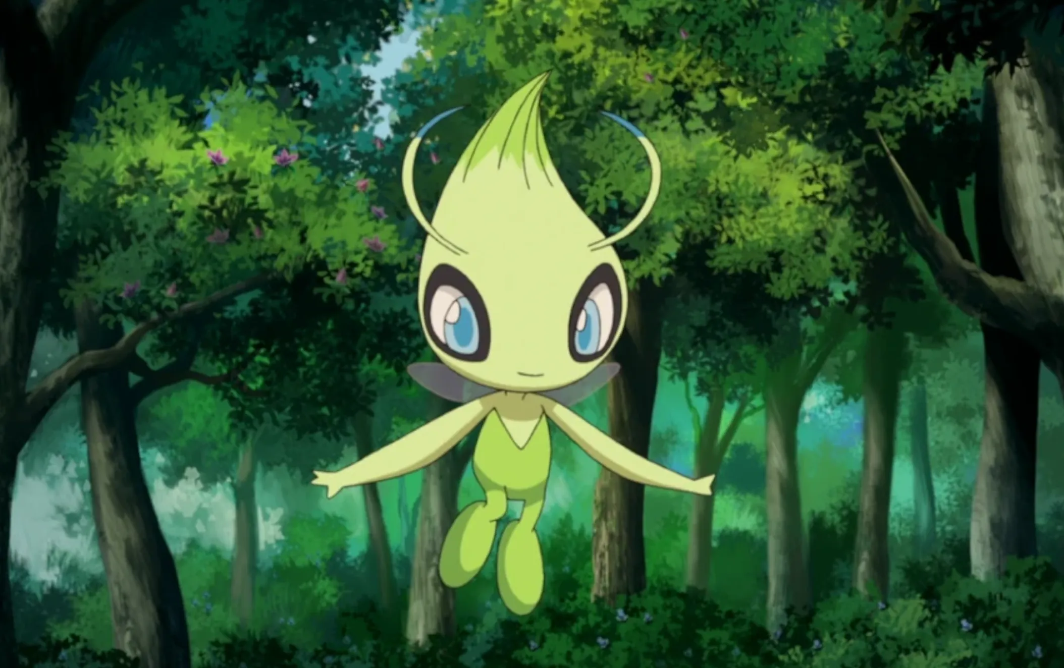 pokemon celebi informationen